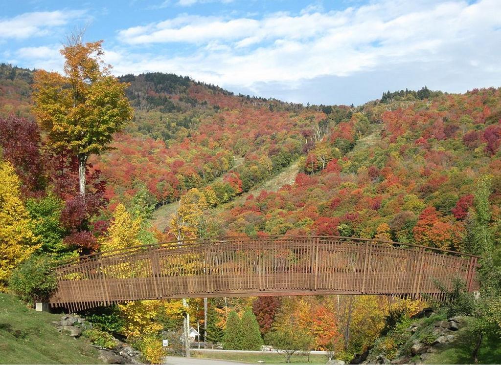 Ski In/Out Trailside Townhome Killington Kültér fotó