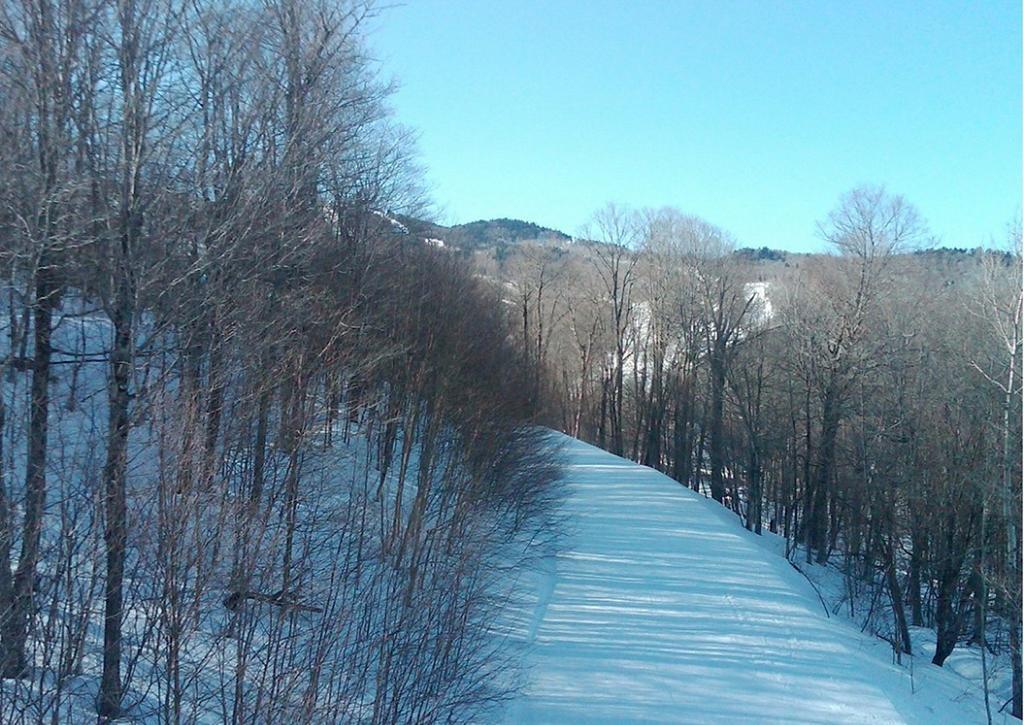Ski In/Out Trailside Townhome Killington Kültér fotó